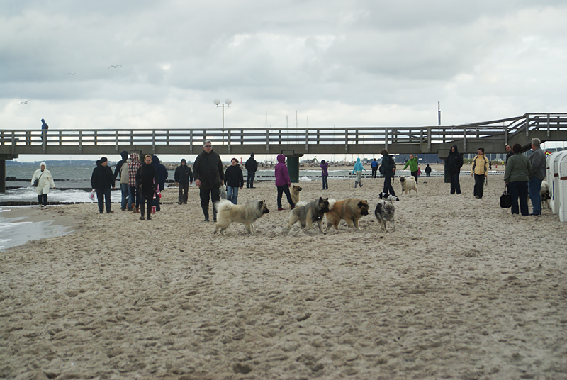 0046 anschliessend nochmals an den Ostseestrand.JPG - SONY DSC